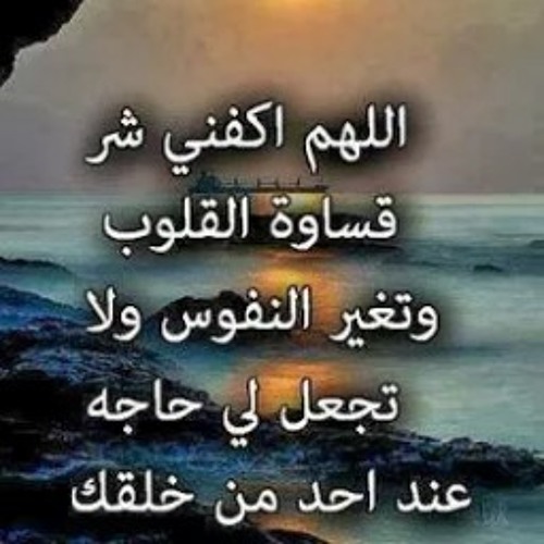 nasr mostafa’s avatar