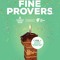 Fine Provers