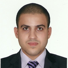 mohamed hegab