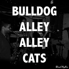 Bulldog Alley Alley Cats