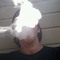 Have,A.Nice_Day
