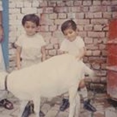 jawad ahmed