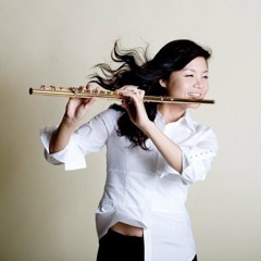 Mozart Concerto in G major K313. Mvt.1