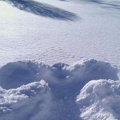 Sharon Killion-Mitchell