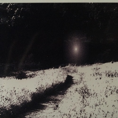 SoundCloud profile picture for @honeymooners