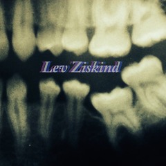 Lev Ziskind