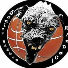 Teo Junior Randagi Imeri