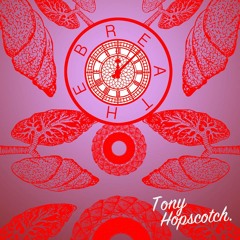 Tony Hopscotch