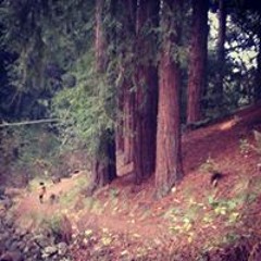 Susanne Smith Wiesman