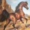 mohamad_fouad_76