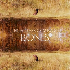 High Class Criminals