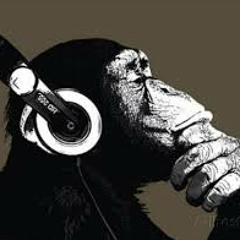 Drank Sinatra's Spitta Andretti Playlist