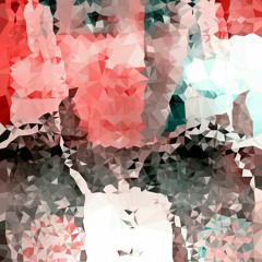 saqlain burki