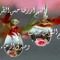 user676161579