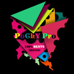 PoChY Pro