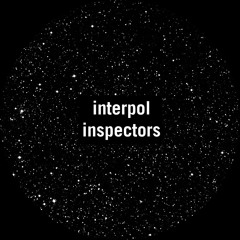 interpol inspector