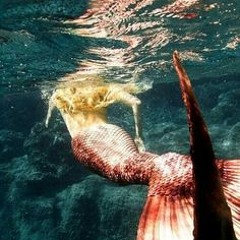 Mermaid