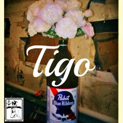 Tigo360