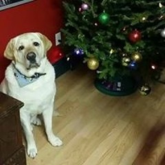 Jackie Hoyle-Matt Proulx