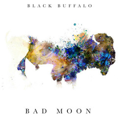 BlackBuffalo