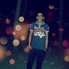 Mohamed ShoOkry