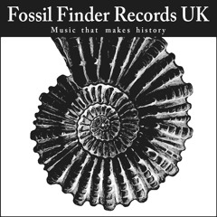 FossilFinderRecords