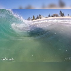 jacksongriffinjackson