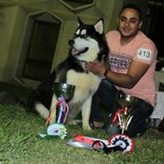 Tony Latif Monir