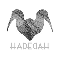 HADEDAH