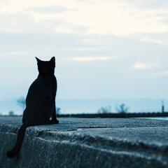 L BIWA (lakeBIWA)