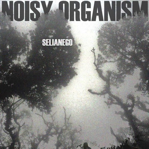 Selianego S Stream Selianego S Stream