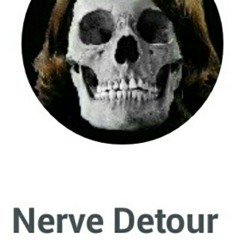 nerve_detour
