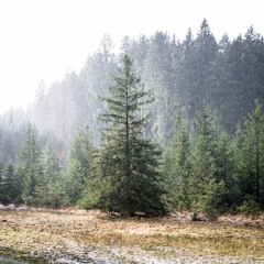 Ben Bischof