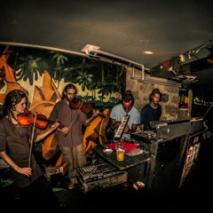 The Four Seasons of Roots