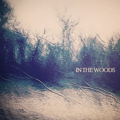 In The Woods