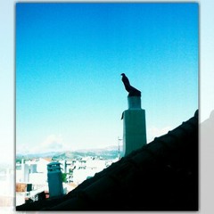 vankempenguusjevankempen