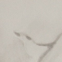 penelopejouvepenelope