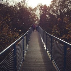 fevriermarlonfevrier