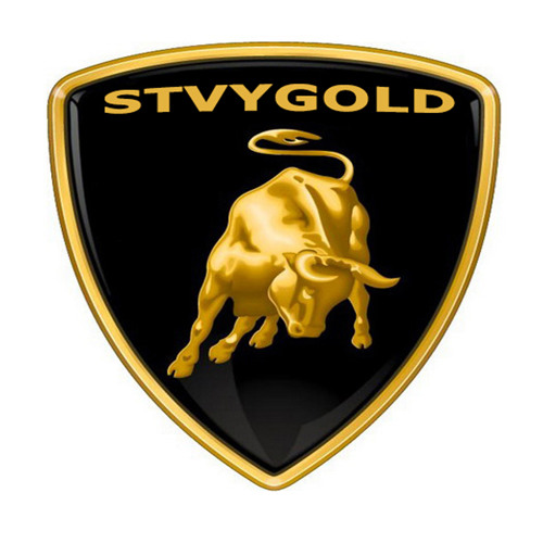 STAYGOLD STUDIOS’s avatar