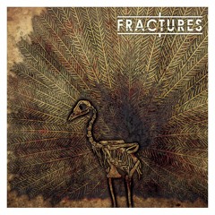 FRACTURES