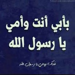 user447266031