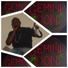 TROPICAL Young Gemini Don