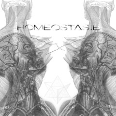 Homéostasie