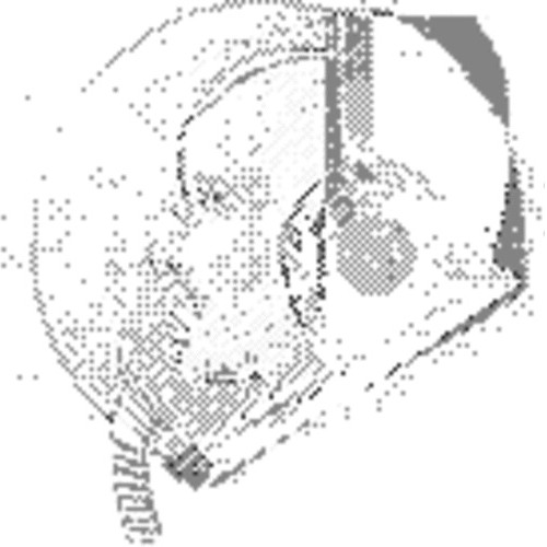 timmybanana’s avatar