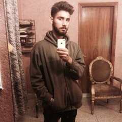 Syed Hamza Shah 2