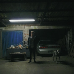 Tim Blomme