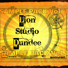 Lion Studio Dundee