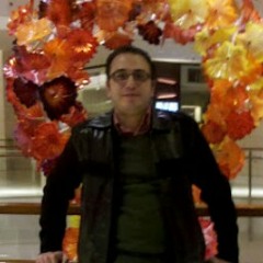 Hany El Ashker