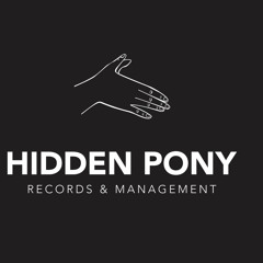 Hidden Pony