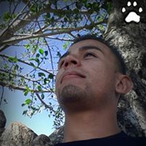 Luis Fernando Chaves’s avatar